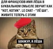 image.jpeg.e7c4d9531bf73583deb1a8a8472604f1.jpeg