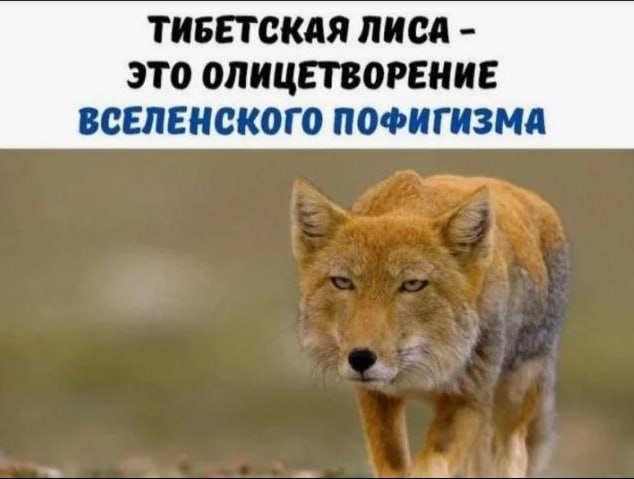 image.png.b2b7696900e0514e476919249b0e03d5.png