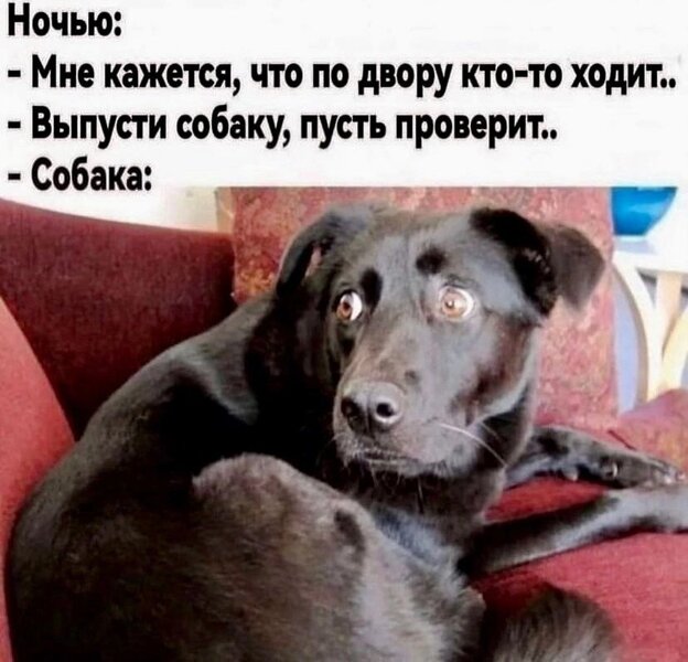 llv1sCBT0ck.thumb.jpg.bc73a356aedbae281b6babde6c880dfe.jpg