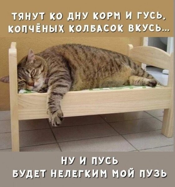 20087323.thumb.jpg.ea601e34c7ae07d2bbaca4dacc6af442.jpg