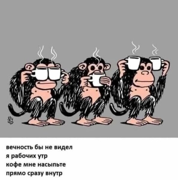 Screenshot_20250504-120753_VK.thumb.jpg.68dbfebd5c8344b575c28969bdda281a.jpg