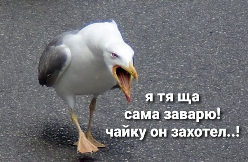 fac65a531a4f8806fc741a824f70cde1.thumb.jpg.faeca03b7c8206d9404b2a998aaeb9b8.jpg