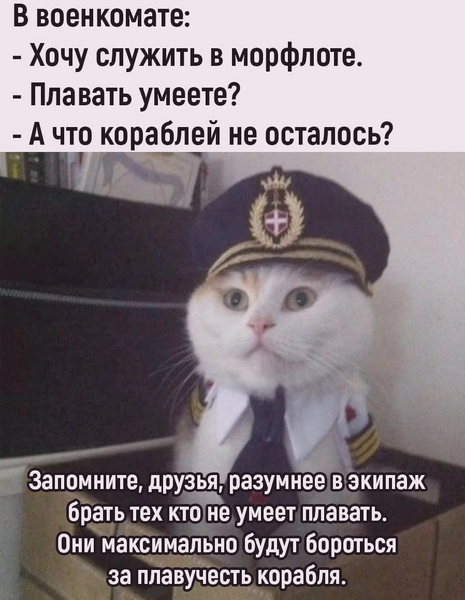 image.thumb.png.f27e964472e73a12410848f1911fd0e1.png