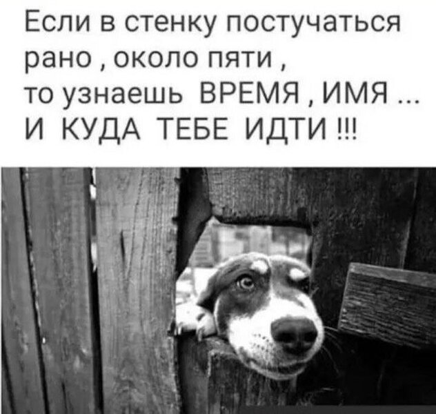 101EFA8D-8F64-4573-9699-AE35F352D45F.thumb.jpeg.2b2b69aceed96059900832343957da79.jpeg