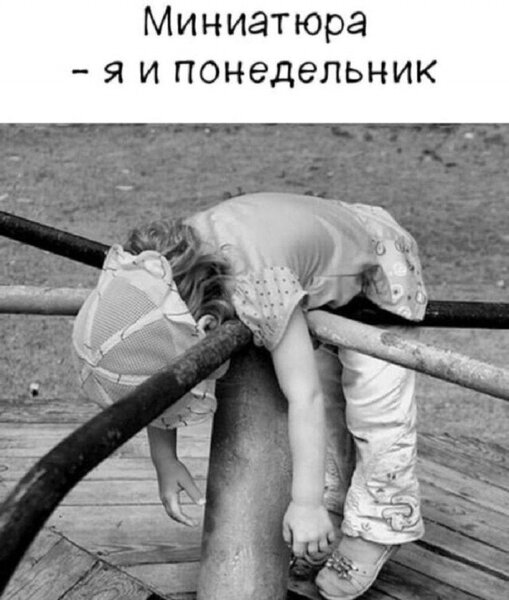 20112546.thumb.jpg.a6e0bfcc4989dac42903161007a8f9c2.jpg