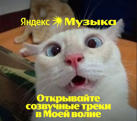 image.png.25e43d772e9c3981f03c3f277a2ae257.png