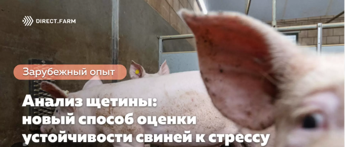 image.png.5e6de4375cc4d740a0ea4fba6f8d9005.png
