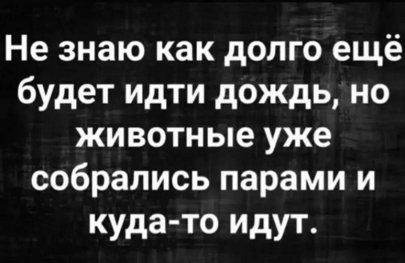 image.thumb.png.2a8bf5766c44f40ba7a9068df4c57d10.png