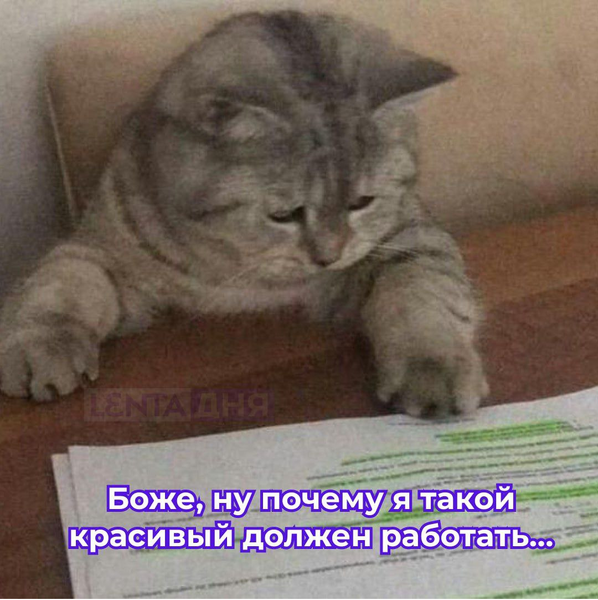 image.thumb.png.b21c913449288c1edaab20cb6356c4a0.png