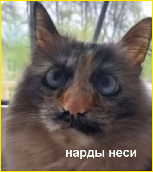 1437918925_image(5148).thumb.png.dec125f88a171add908266b66ab0e93e.png