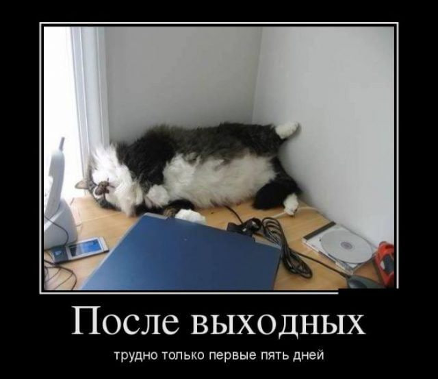 image.png.0d22faca8d2d64b163f8856b9c2a7c14.png