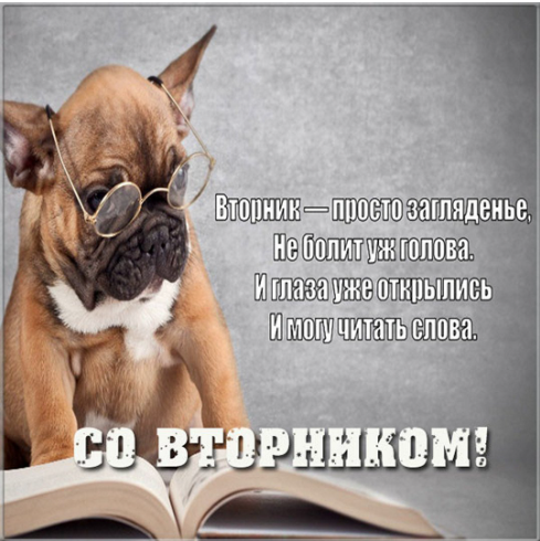 image.png.ae990ba2100c799a1cd0c74ece699ab0.png