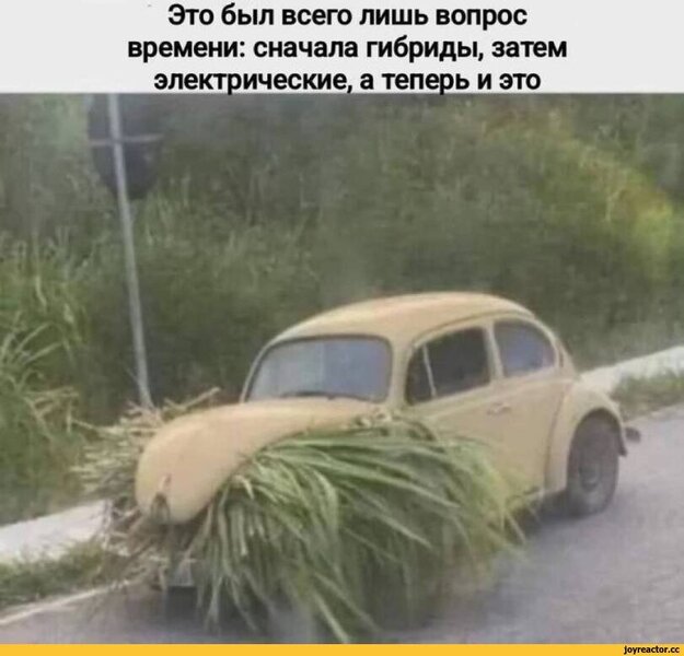 152640764_-------9015901.thumb.jpeg.1085a3b3af1de4de95b734ced03d925e.jpeg