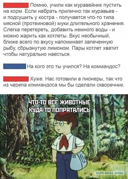 d62c02c1ebbbede20244b796984037b1.thumb.jpg.6cca23e86a542c6fe311fc6a1eec761d.jpg