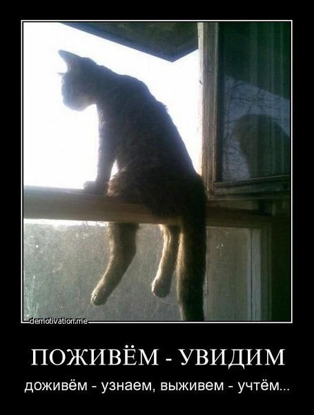 image.thumb.png.379cebe11b3eec5f51d8c539779707aa.png