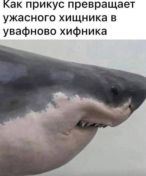 image.thumb.png.66cfe8fae336d6f64bfec3c64c36bfb8.png