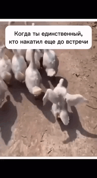 xefsjxm7_s0f0d10m0_464x848.thumb.gif.5608f6095d610a428e88a5aac198b65a.gif