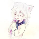 MIDORI_FUSE
