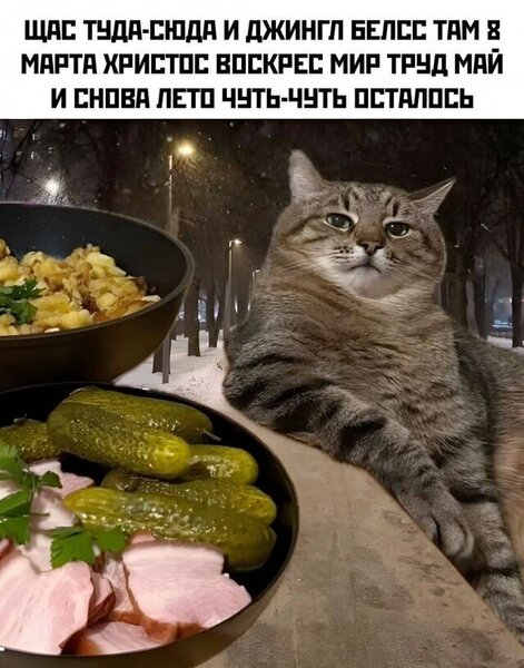 20353810.thumb.jpg.7d425212a0d03755ef8328b9472eb2c7.jpg