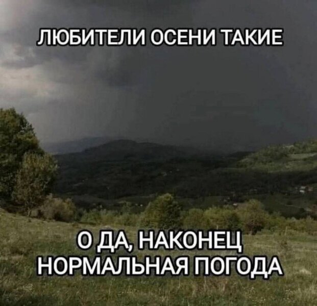 20399458.thumb.jpg.b1b36e63f844a1ab1166e76dbbfe4963.jpg