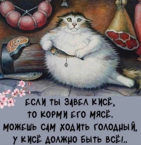 20406078.thumb.jpg.35db6d9f35d3678bb545e2cf085a96a8.jpg