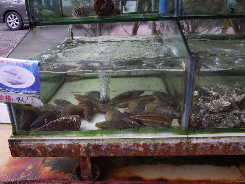 DSCF7885.thumb.JPG.d52f02d3155957a9d0a136c50c67f4cc.JPG