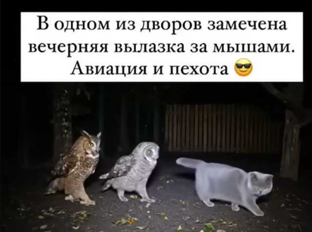 image.png.b8e8a5c5c92692861e6a8c2d19de919b.png