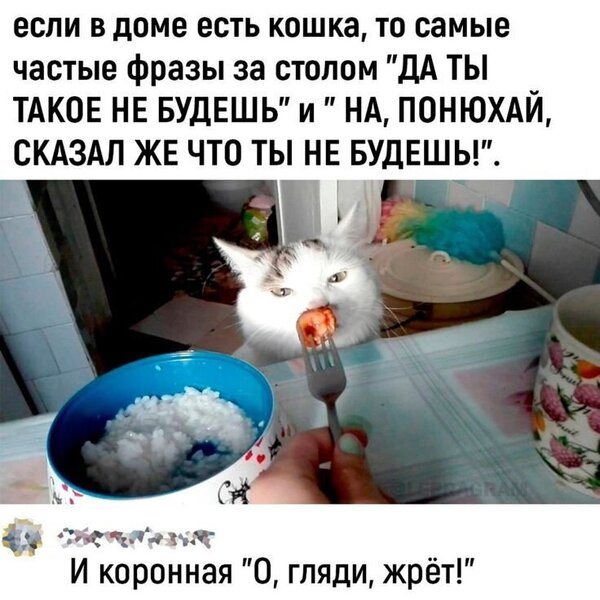 ogkcif6h_lg.thumb.jpg.91383ae4dbbd53aca6531a9f29a02245.jpg