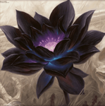Blacklotus