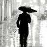 MasterRain1961