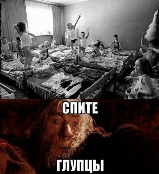 20932276.thumb.jpg.984f720ad600bf45a8c9c704b95bb402.jpg