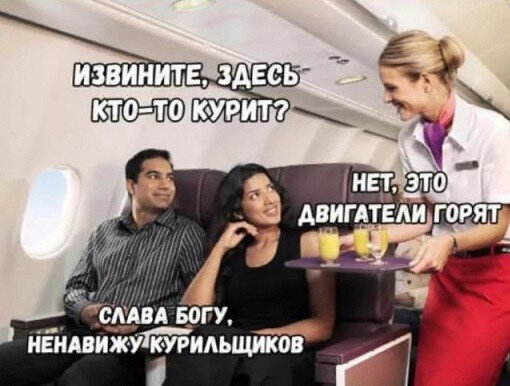 9070218_original.jpg.e2e7c179da59d53b01c27b7b36f68737.jpg