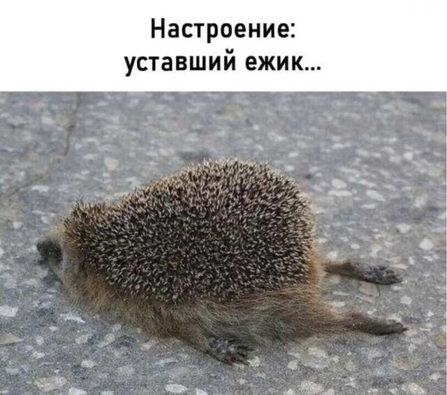 20976692.jpg.3b78941cdbe291cdfe28c63741858072.jpg