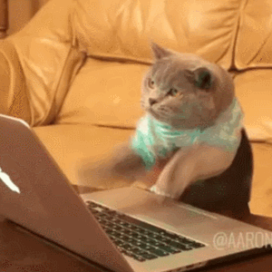 2GU.gif.55bc7dad35dfe70251a80cf73041ae83.gif
