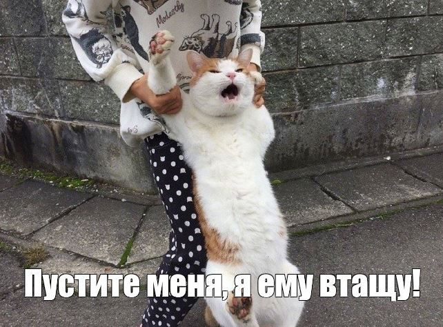 image.png.13770d1ddf5542abcb208c19374b9d68.png