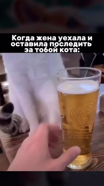 image.thumb.png.fd43d95129275fbd53b5ca55fdad2e57.png