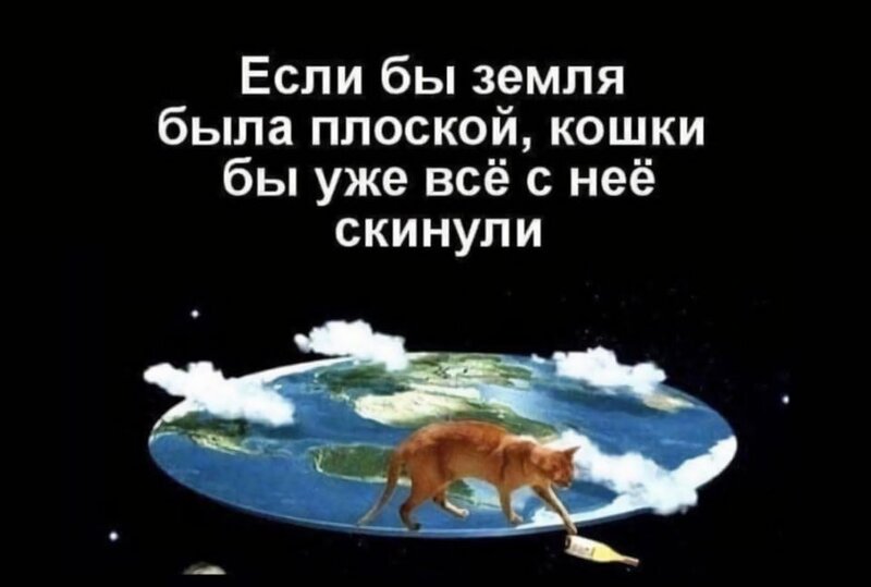 плоская-Земля-коты-7922319.jpeg