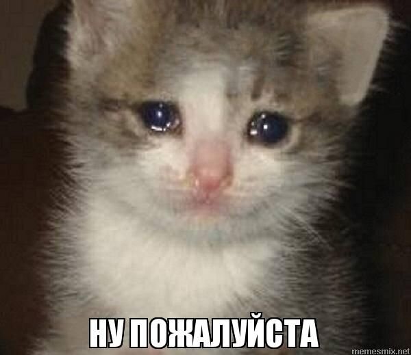 1fbc09b54b08ae9c87bc8ac835aa3af4.jpg.86776234d712fea899d3df65dfec713f.jpg
