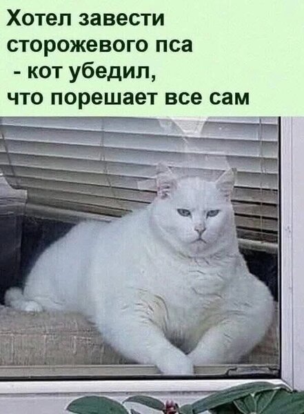 21076046.thumb.jpg.caaed4b8a7f5c5de3959a700d821e9c7.jpg