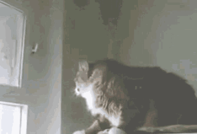 699364152_-.gif.ec90c2b6584dd4eef95796fdd903887b.gif