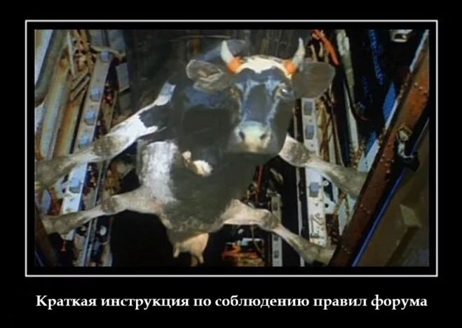 82fe550ed283a8ccf63a02d3ed15c181.jpg.6e214d3ad492904c64c7b2bb11a5eef0.jpg