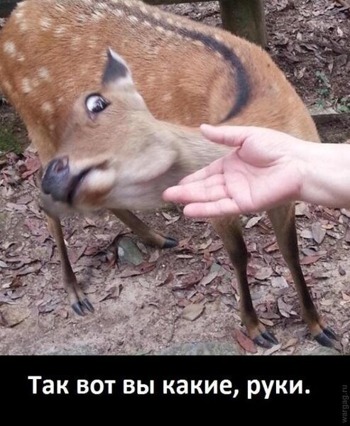 93319da21ad1775e19e0e4f4d5894364.jpeg