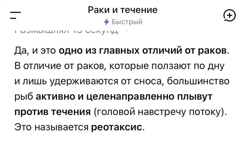 IMG_0384.jpeg