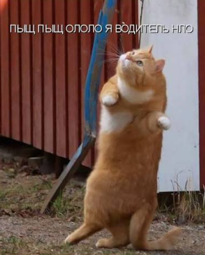 image.png.73aa12fb7c79b15f8797acc244c921d8.png