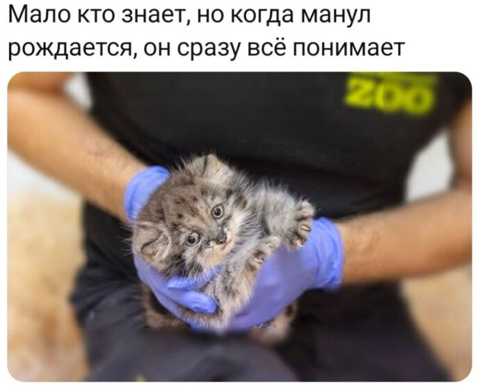 image.png.c53a94fa3393a48388d5d0bab4b6582a.png