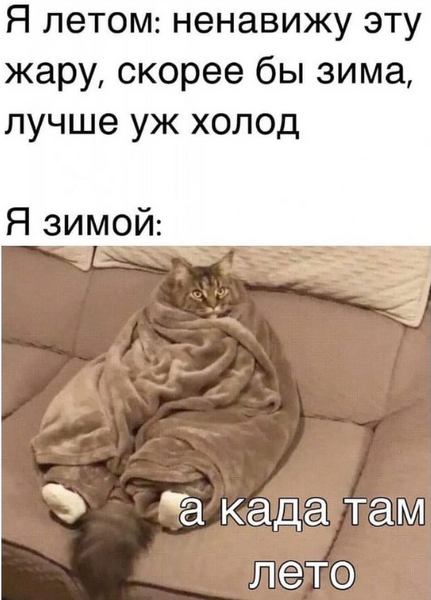 image.thumb.png.2c41a42336f13475c263d0a3d8d2372d.png