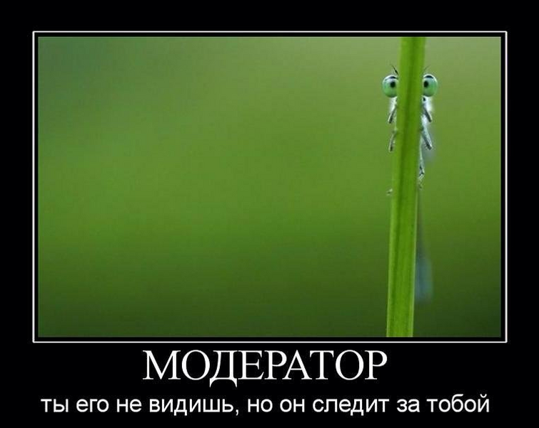 image.thumb.png.4e05ba44c630b3fab3599427d3c6faf1.png