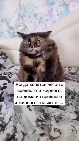image.thumb.png.bcfe5faee244e1c22383e65b887a3a57.png