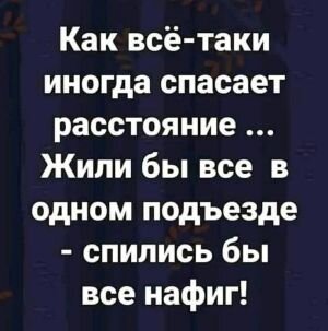 13.jpg.94cb50088d9a546fa09953110ad321f5.jpg