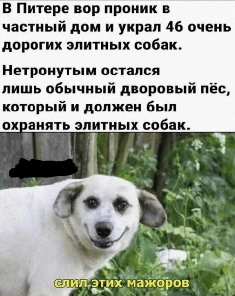 21101790.thumb.jpg.ccf196c07a8e356c2e5ca00ebddf1853.jpg
